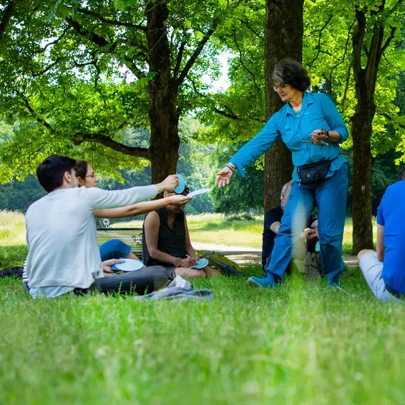 Team Tag im Wald beim Resilienz Training von Creative by nature